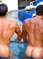 28366