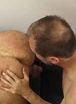 38453