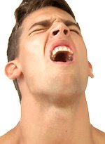 2377399