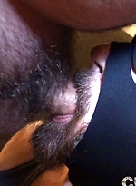 2630245