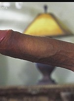 2950464