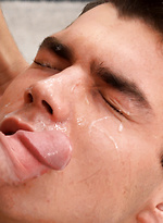 3115557