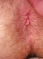 3498021