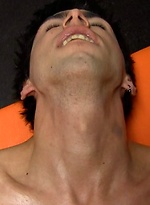 294841