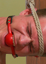 315733