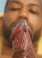 335551