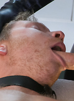 526753