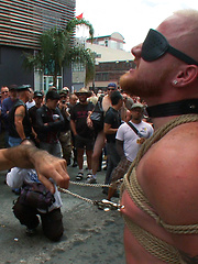 Dore Alley Pig